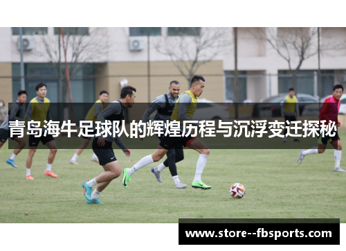 青岛海牛足球队的辉煌历程与沉浮变迁探秘