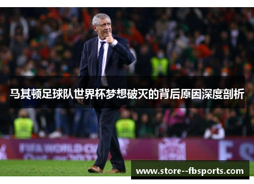 马其顿足球队世界杯梦想破灭的背后原因深度剖析