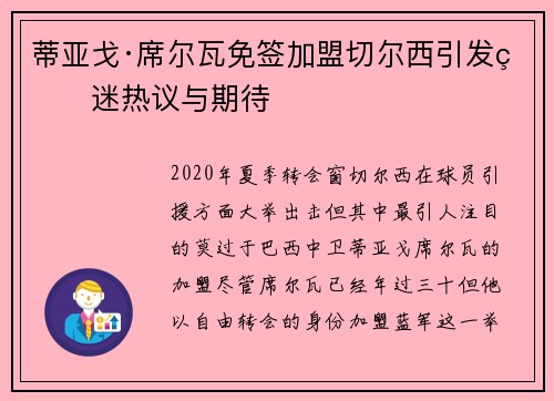 蒂亚戈·席尔瓦免签加盟切尔西引发球迷热议与期待